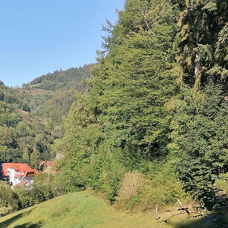 Vila Huberhof Pfaffenbach Gengenbach Exteriér fotografie