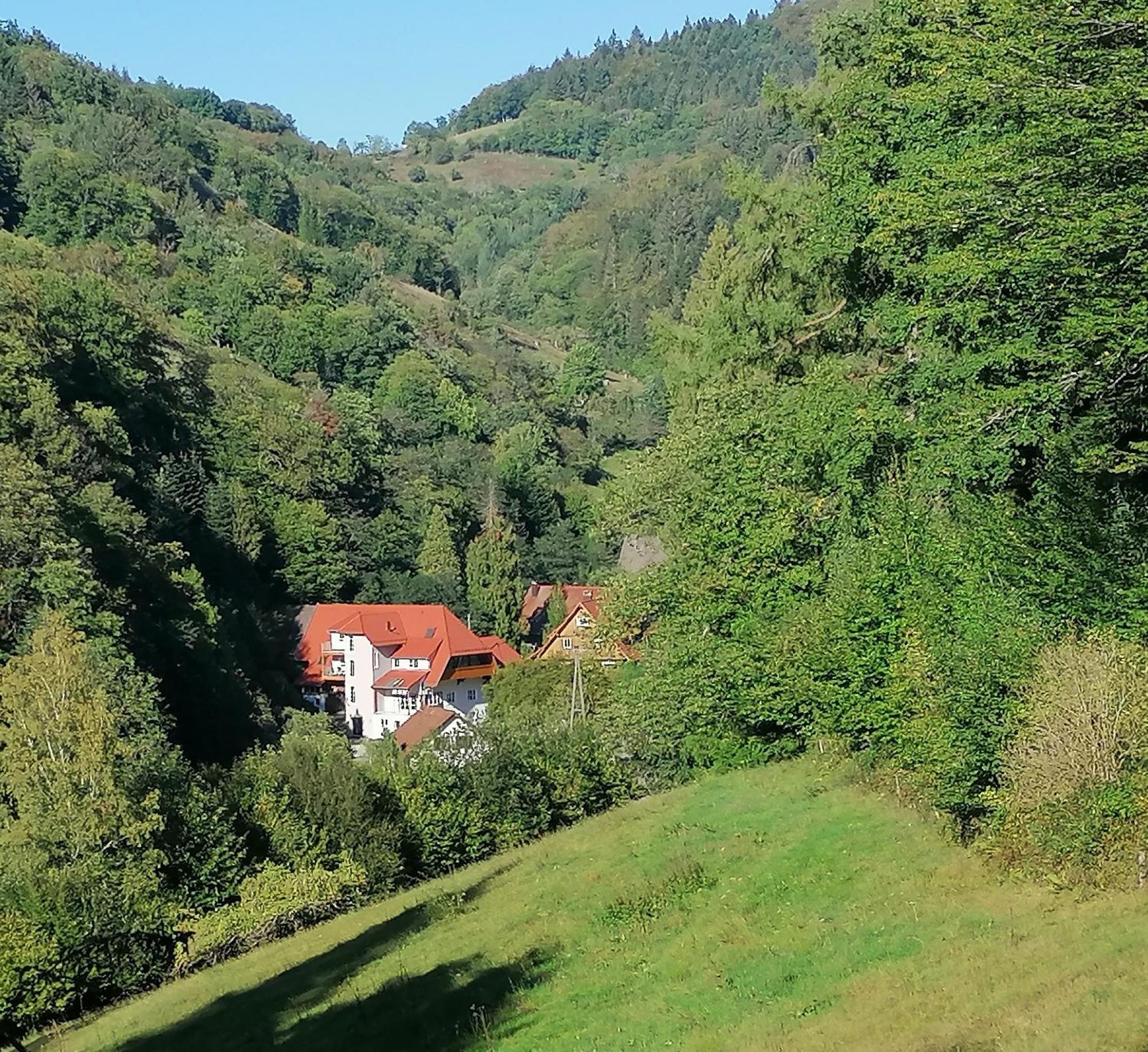 Vila Huberhof Pfaffenbach Gengenbach Exteriér fotografie